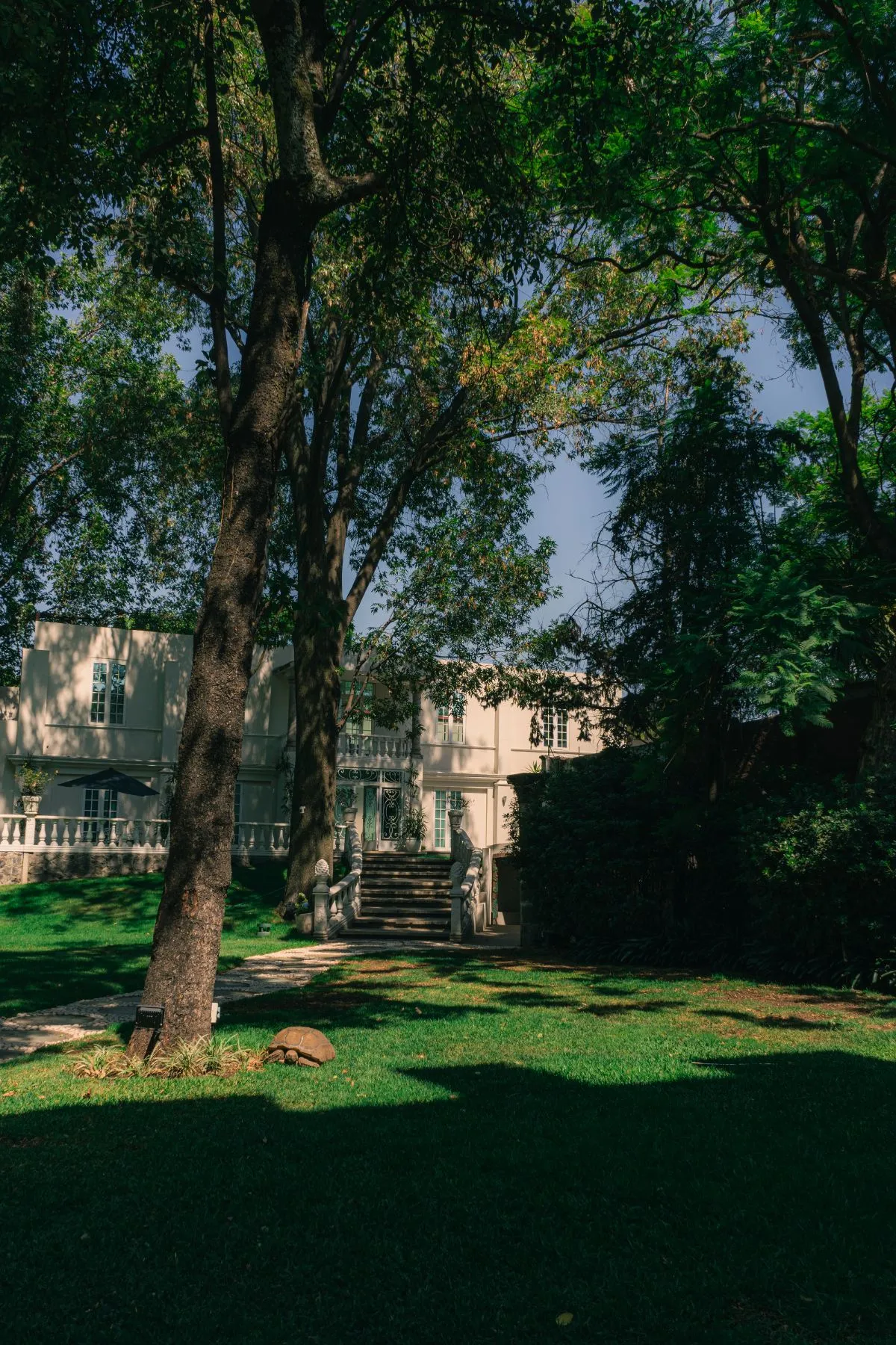 Hotel romántico, Hotel de experiencias románticas, Mansión papilio, Mansión de papilio